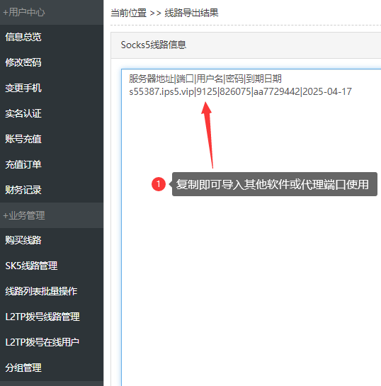 老鱼加速器导入奔富IP教程
