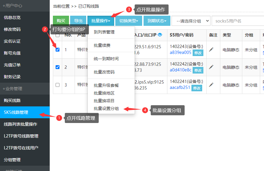 IP分配操作界面示意图